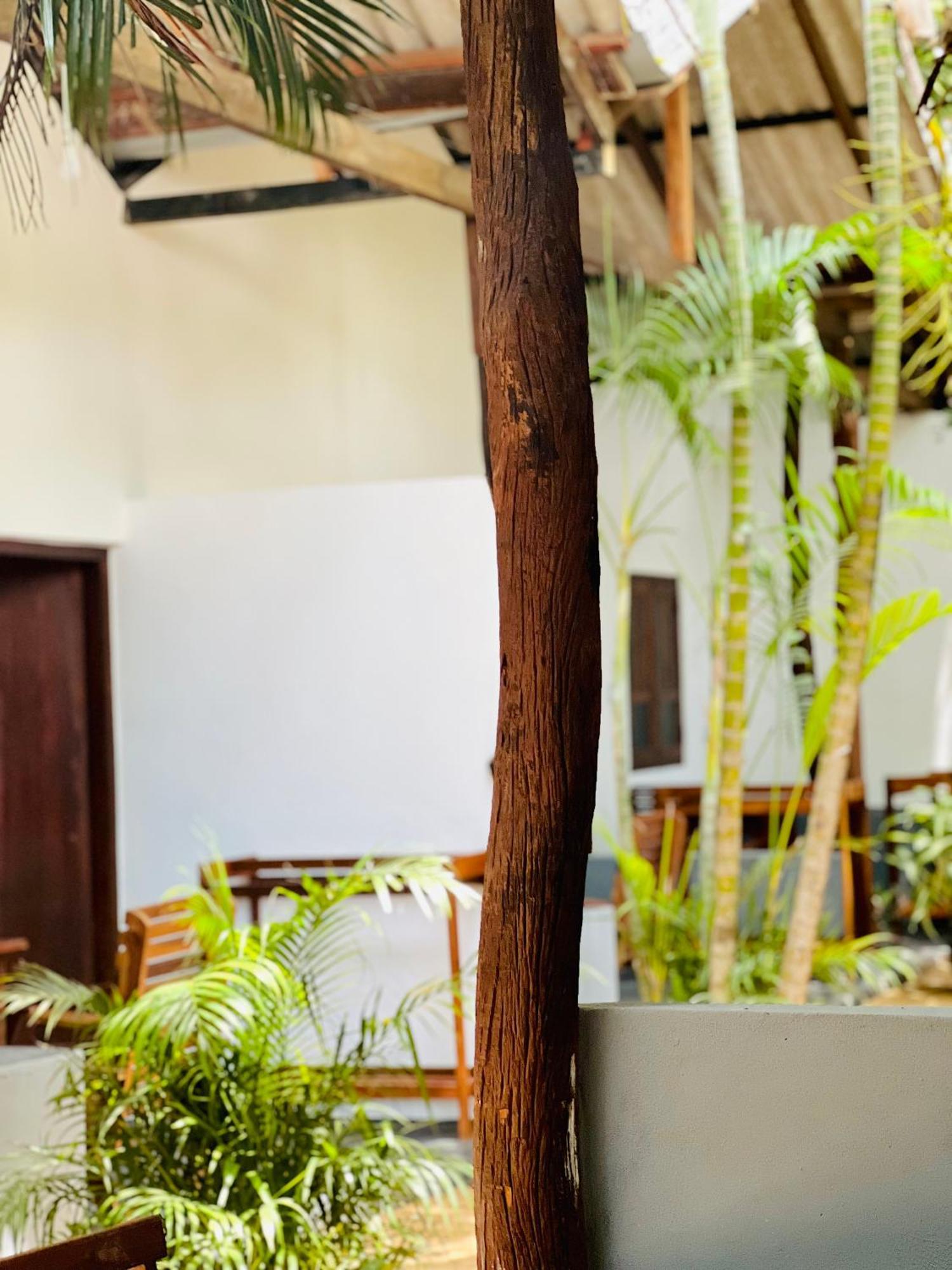 Villa The Woodnest à Baie d'Arugam Extérieur photo